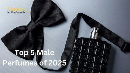 Top 5 Male Perfumes of 2025