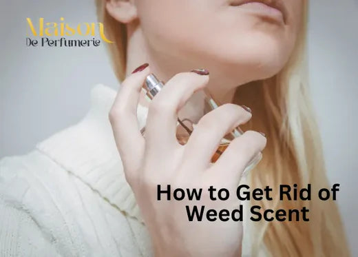 How to Get Rid of Weed Scent | Home-Tested and Result Driven Solutions